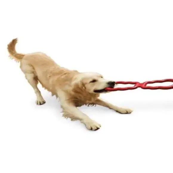 Buy KONG Tug Toy Interactive Dog Toy