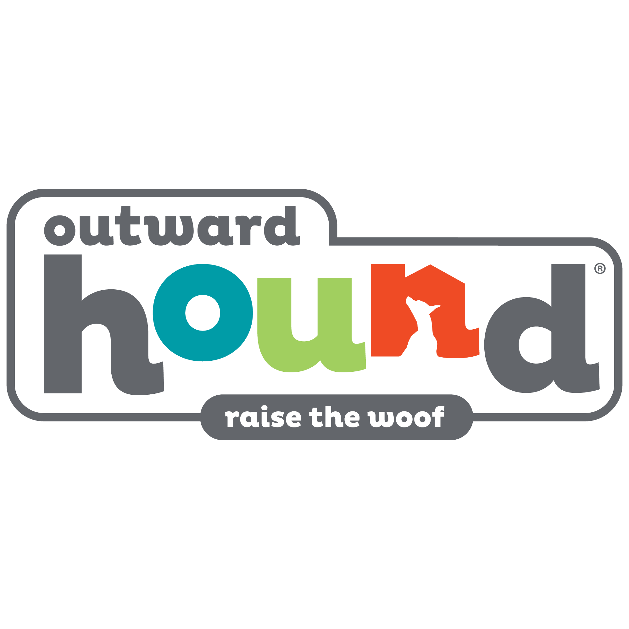 Buy Outward Hound (Nina Ottosson) Dog Brick Interactive Puzzle ITP