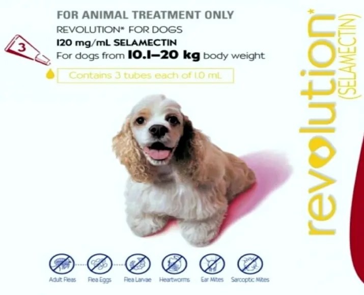 Buy Zoetis Revolution Spot On For Dogs (18 Kg 39 Kg Weight