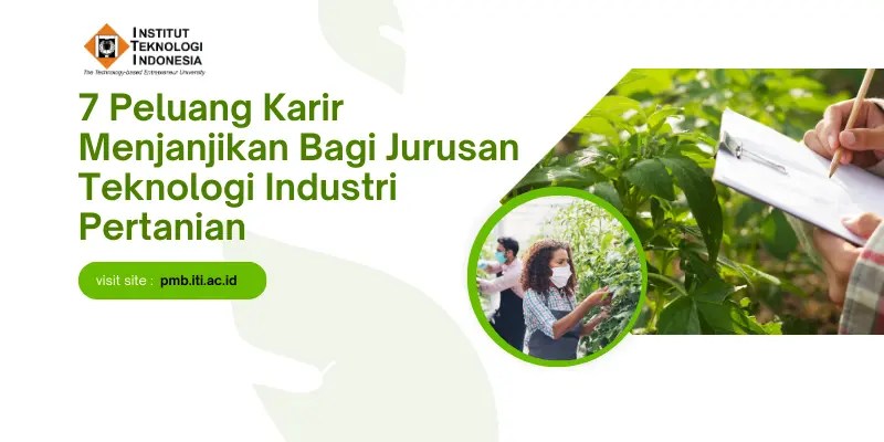 Peluang Bisnis Teknologi Pertanian Pintar untuk Masa Depan Berkelanjutan