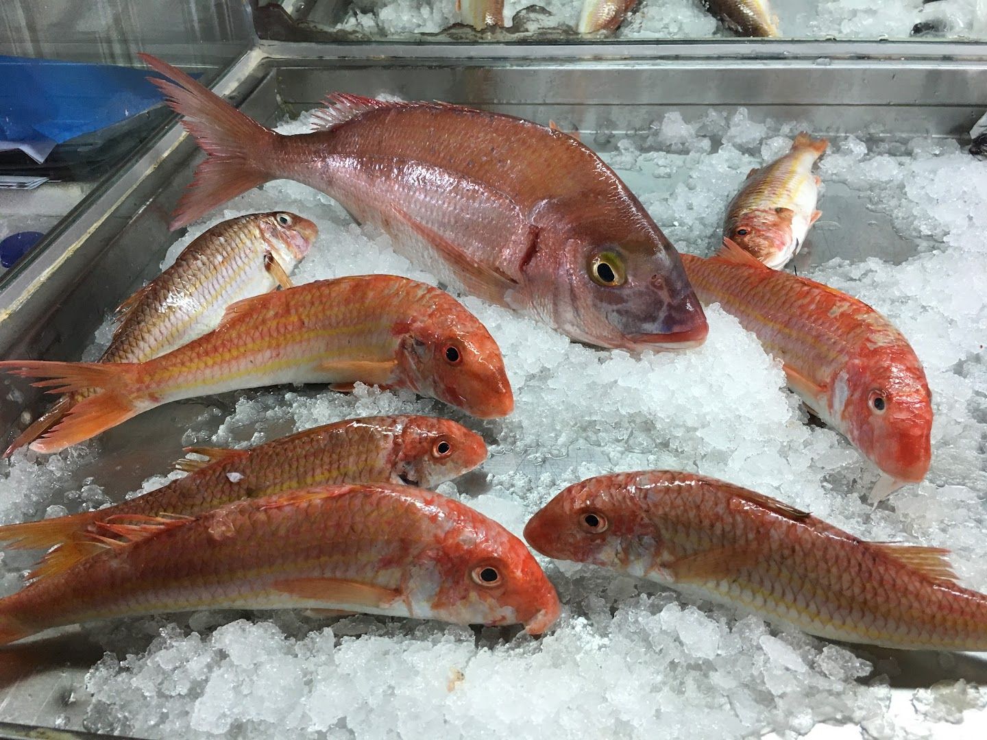 Where to eat the 50 best restaurants in Corinth