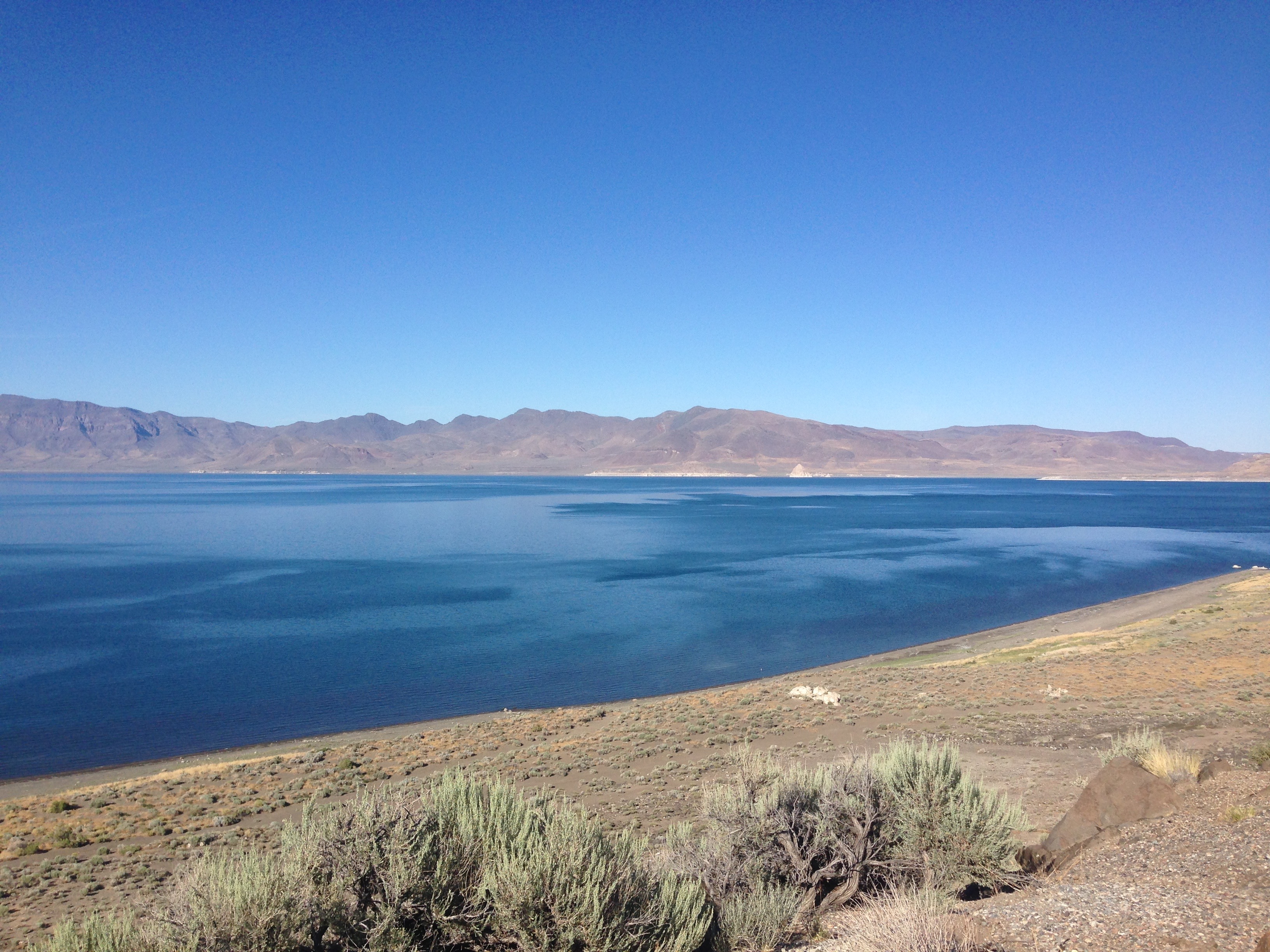 Landscapes The Itinerant Printer