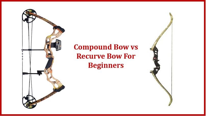 Compound Bow vs Recurve Bow For Beginners ITIShooting