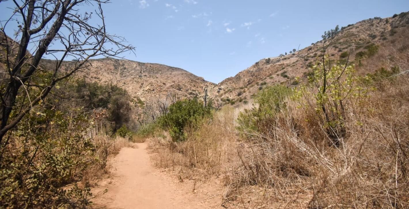 11 Best Hiking and Running Trails near Vista, CA Wild