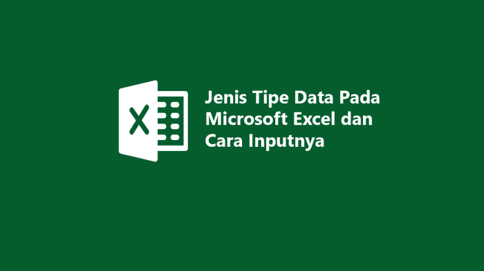Tipe Data yang Digunakan dalam VBA Excel