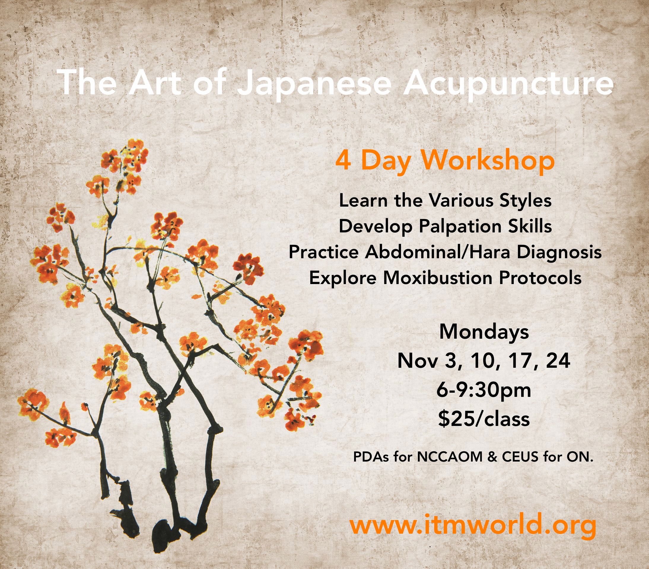 Japanese Acupuncture INSTITUTE OF TRADITIONAL MEDICINE