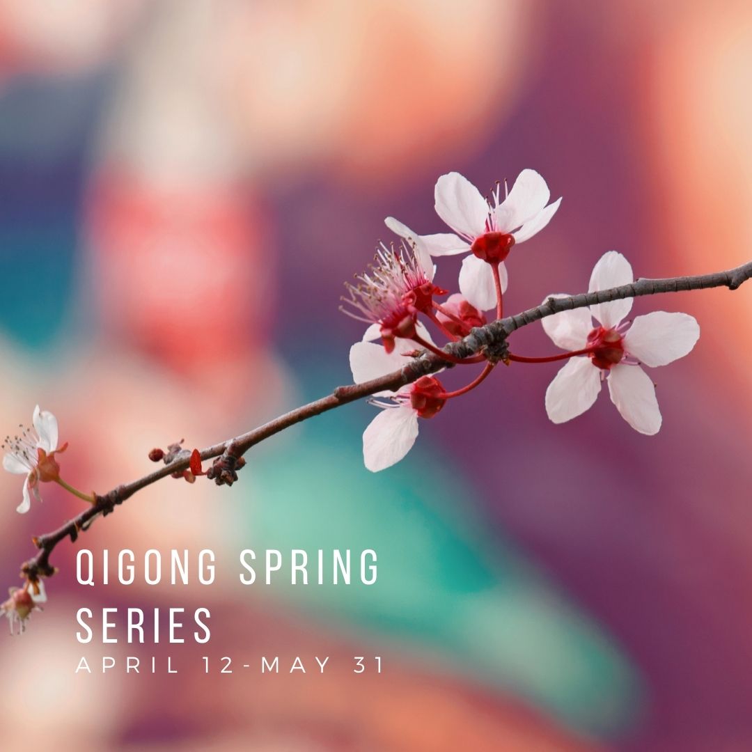 Qigong Spring Series INSTITUTE OF TRADITIONAL MEDICINE
