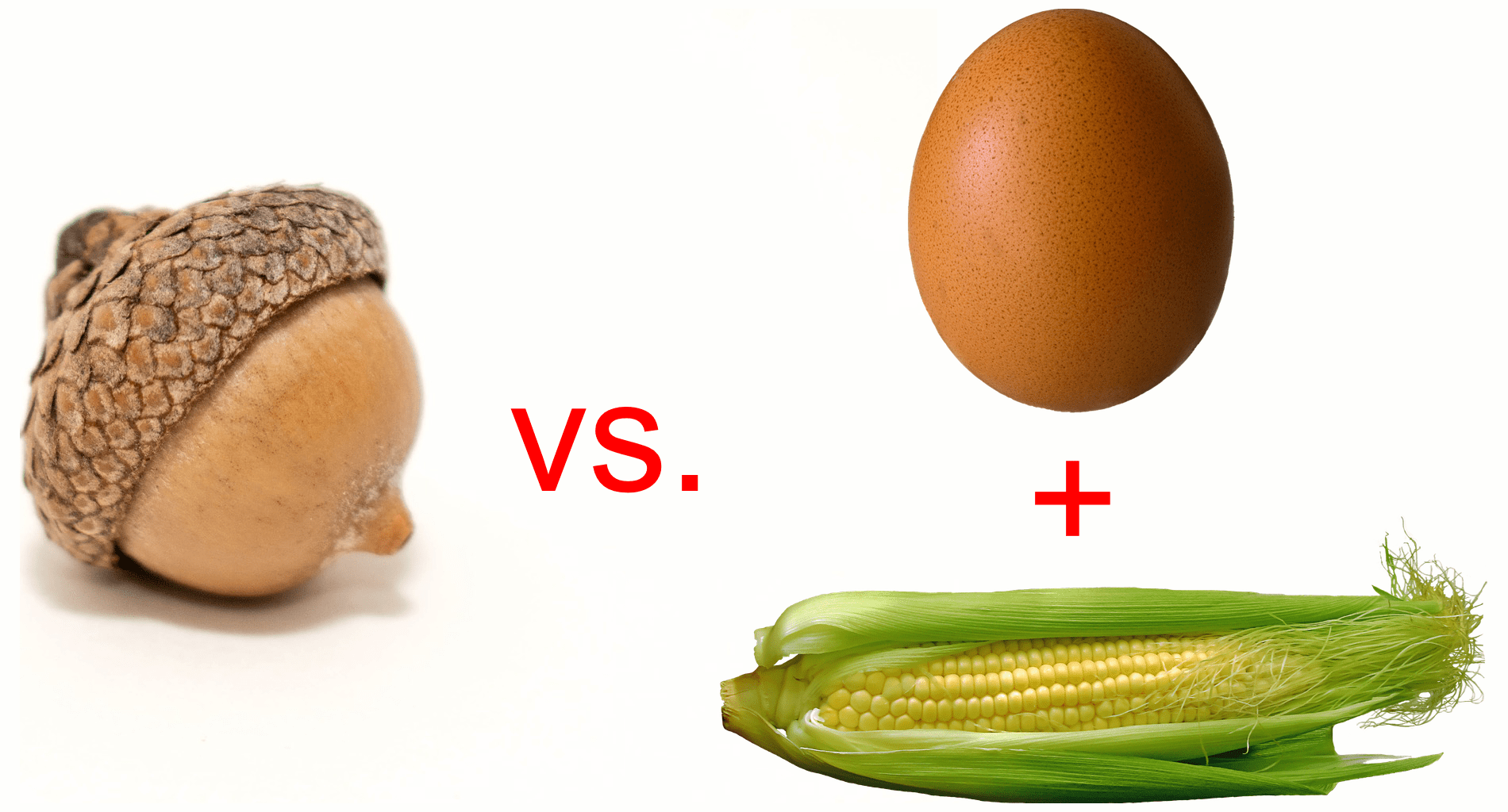 Mondegreens and Eggcorns Interesting Thing of the Day