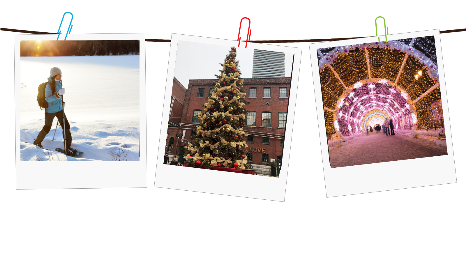 Keep active and entertained this holiday season Information