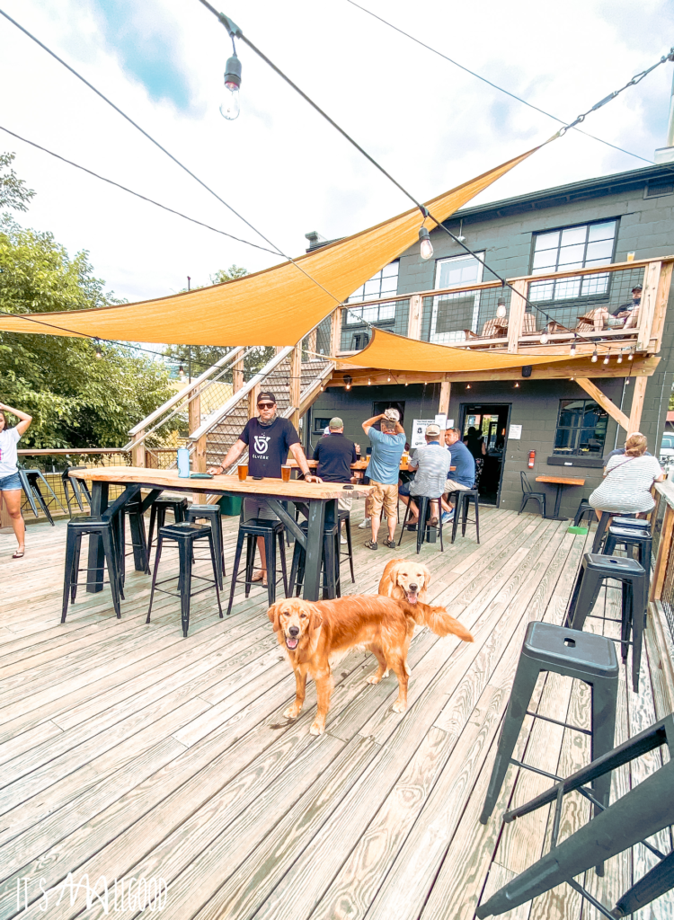 15 Dog Friendly Asheville Breweries for the Craft Beer Lover — It's