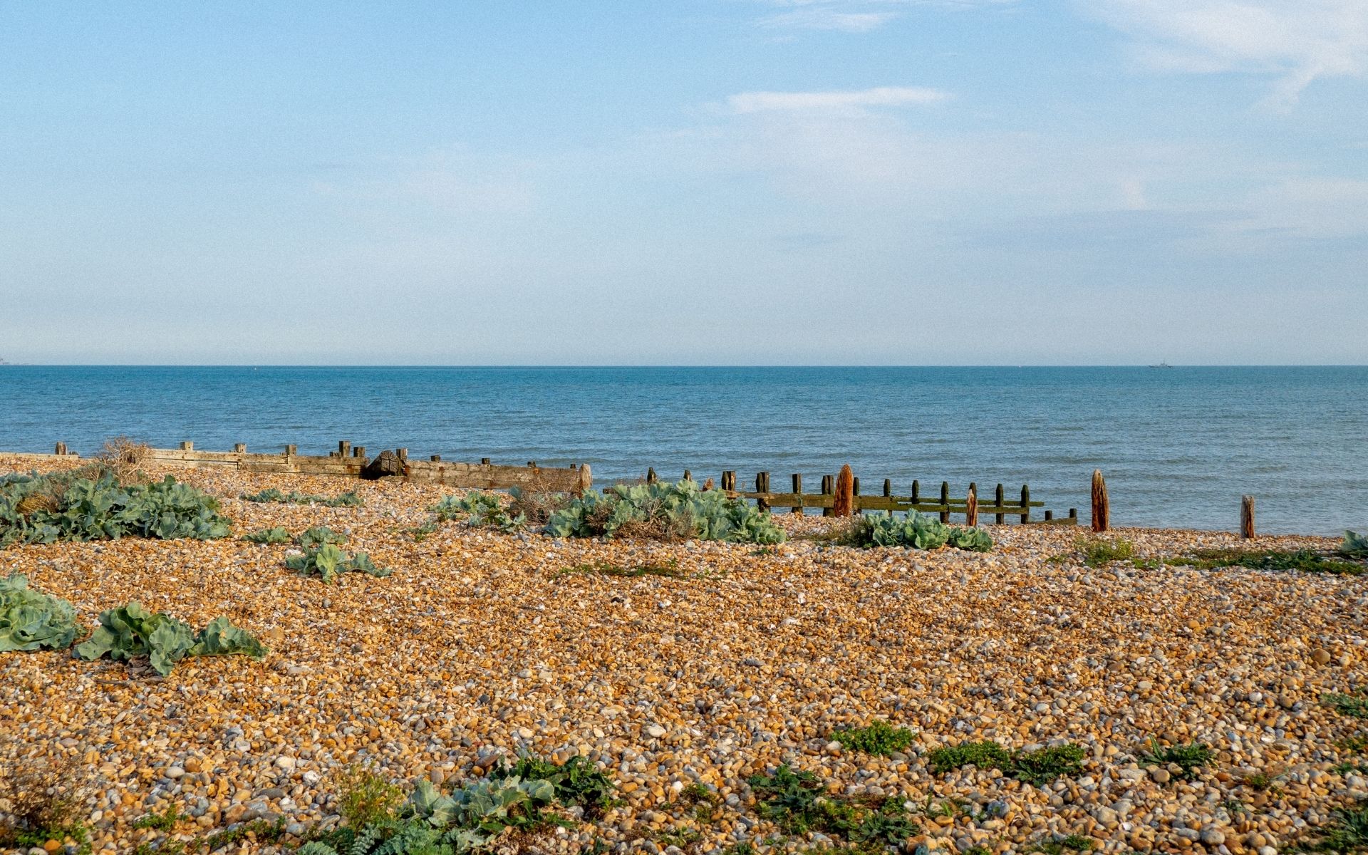 Dog Walk Rye Nature Reserve, East Sussex It's A Danielle Life