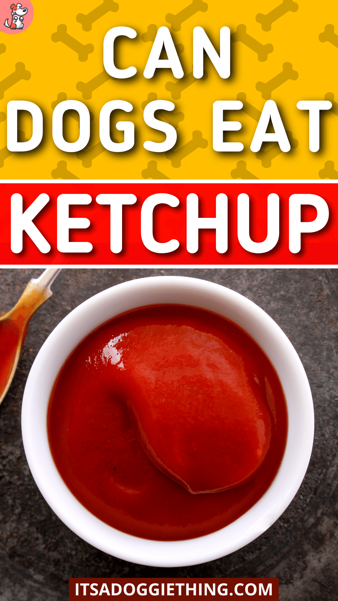 Here’s What You Should Know Can Dogs Eat Ketchup?