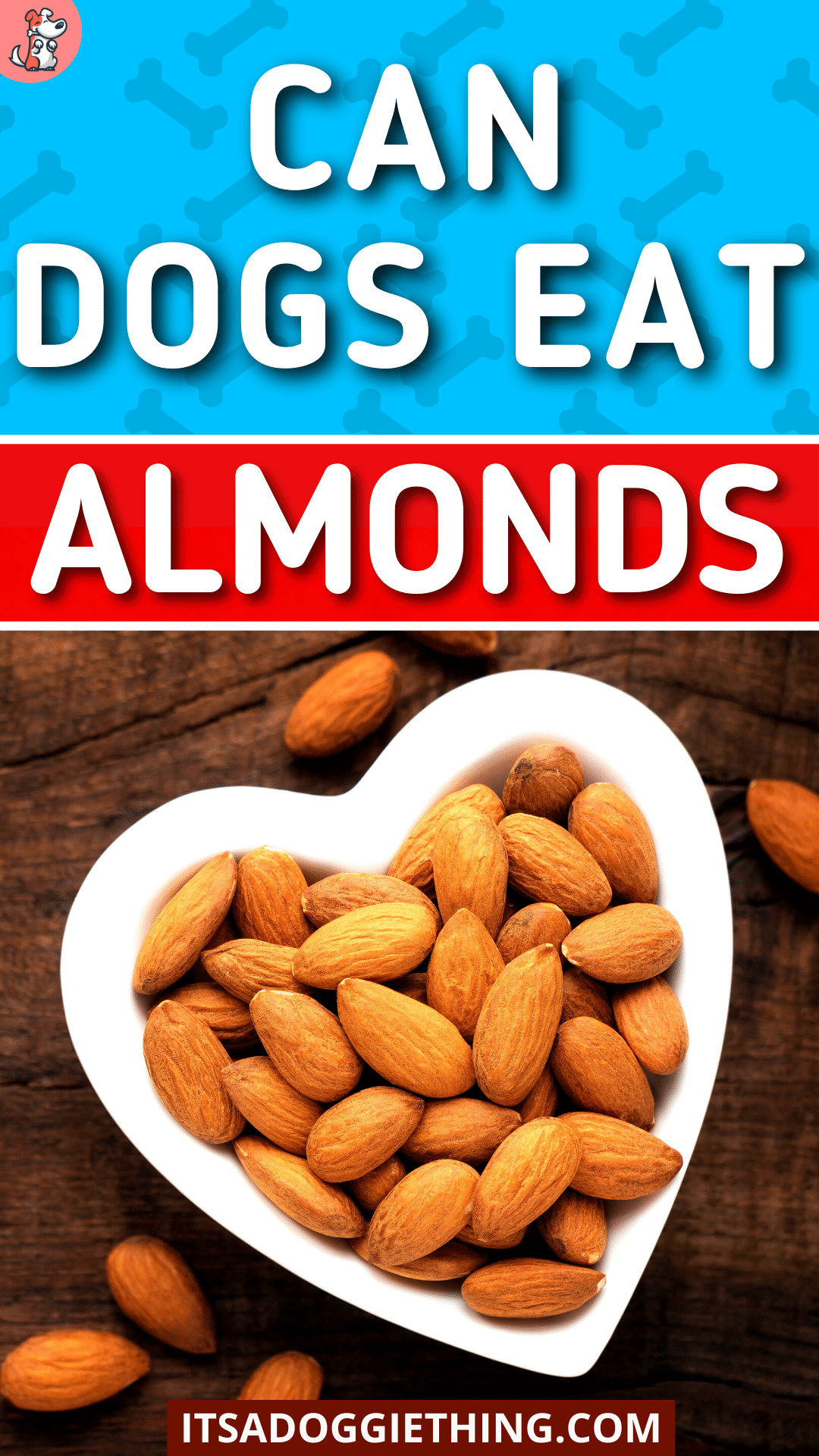 Can Dogs Eat Almonds It's a Doggie Thing