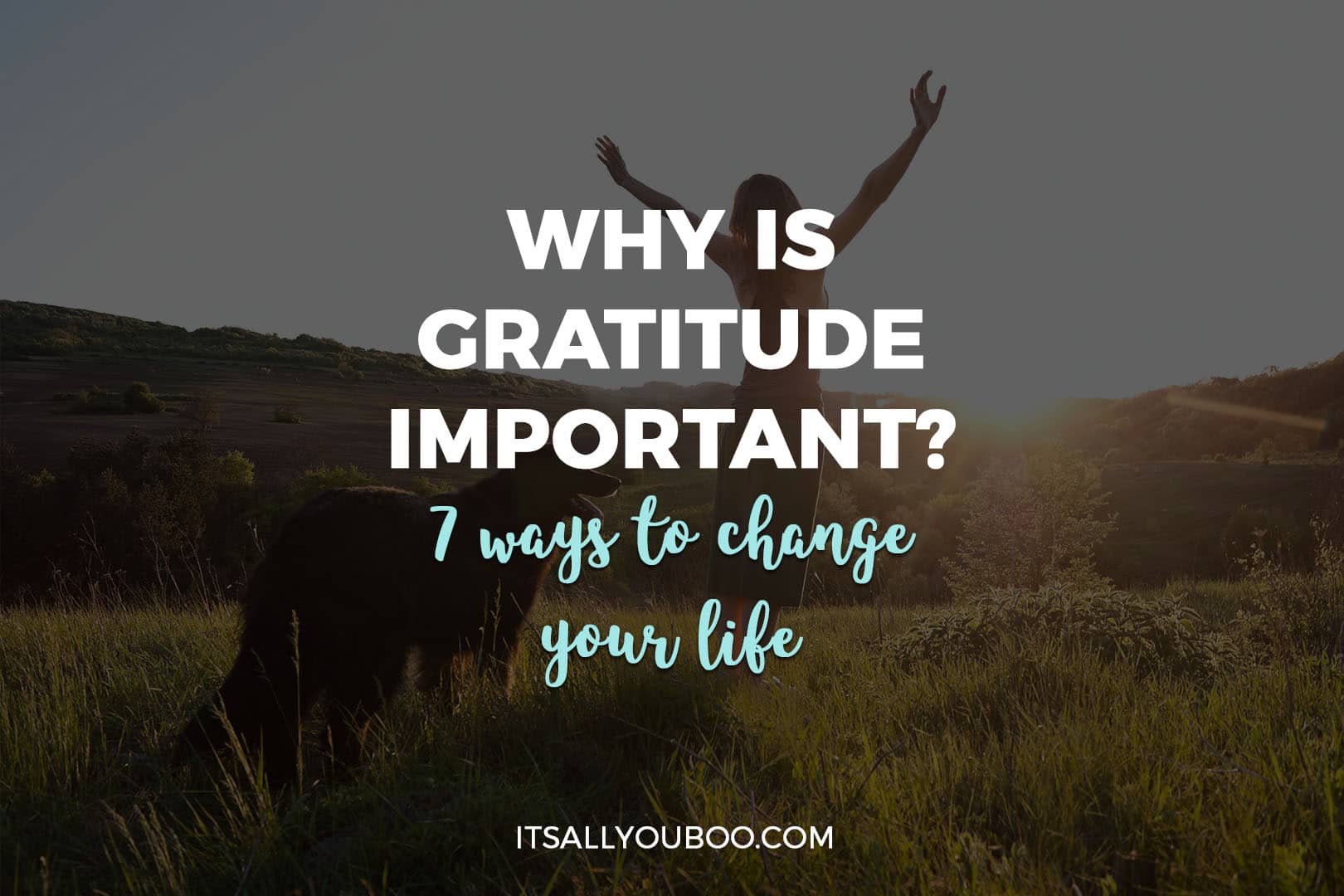 How Gratitude Can Change Your Life