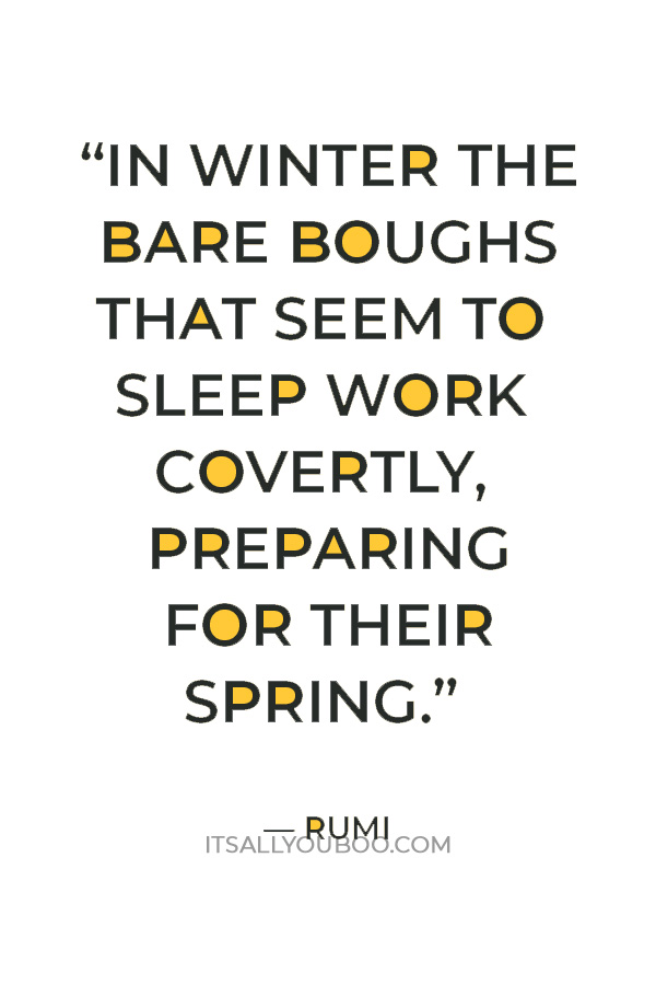 “In Winter the bare boughs that seem to sleep Work covertly, preparing for their Spring.” — Rumi