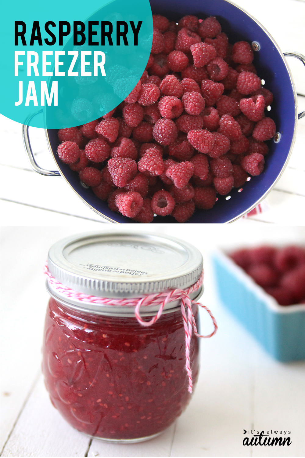 Easy Raspberry Freezer Jam - Sula and Spice