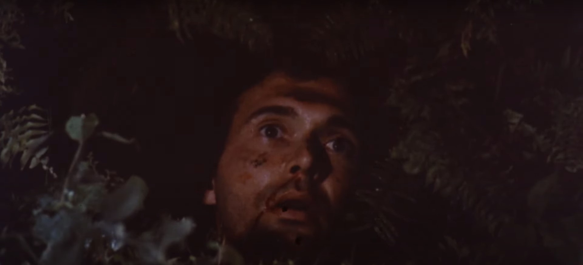 Caribbean EVIL is No Vacation. “Zombie Island Massacre” reviewed