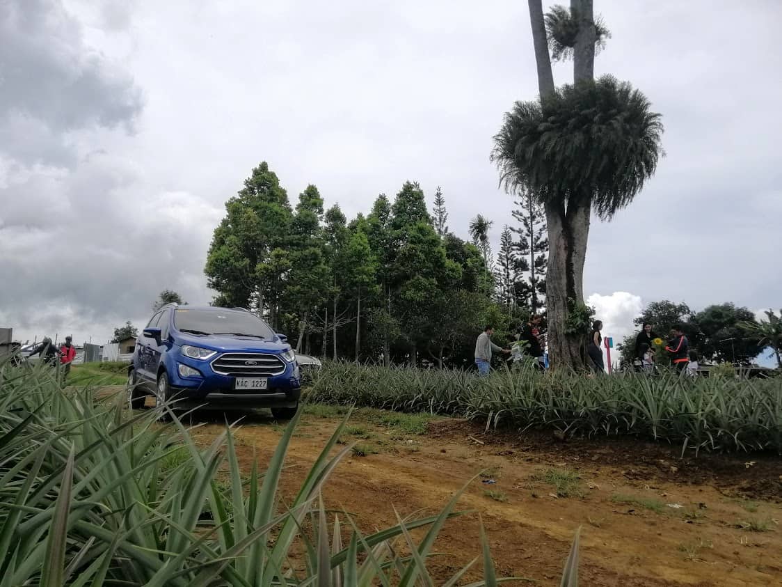 DRIVING THE MOUNTAINS OF CLAVERIAGINGOOG ROAD WITH THE FORD ECOSPORT