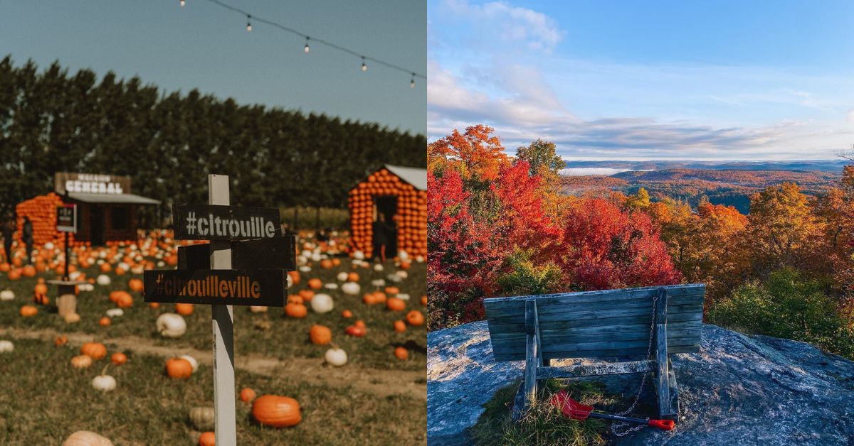 Your Ultimate Guide to Ottawa Fall Date Ideas datenight