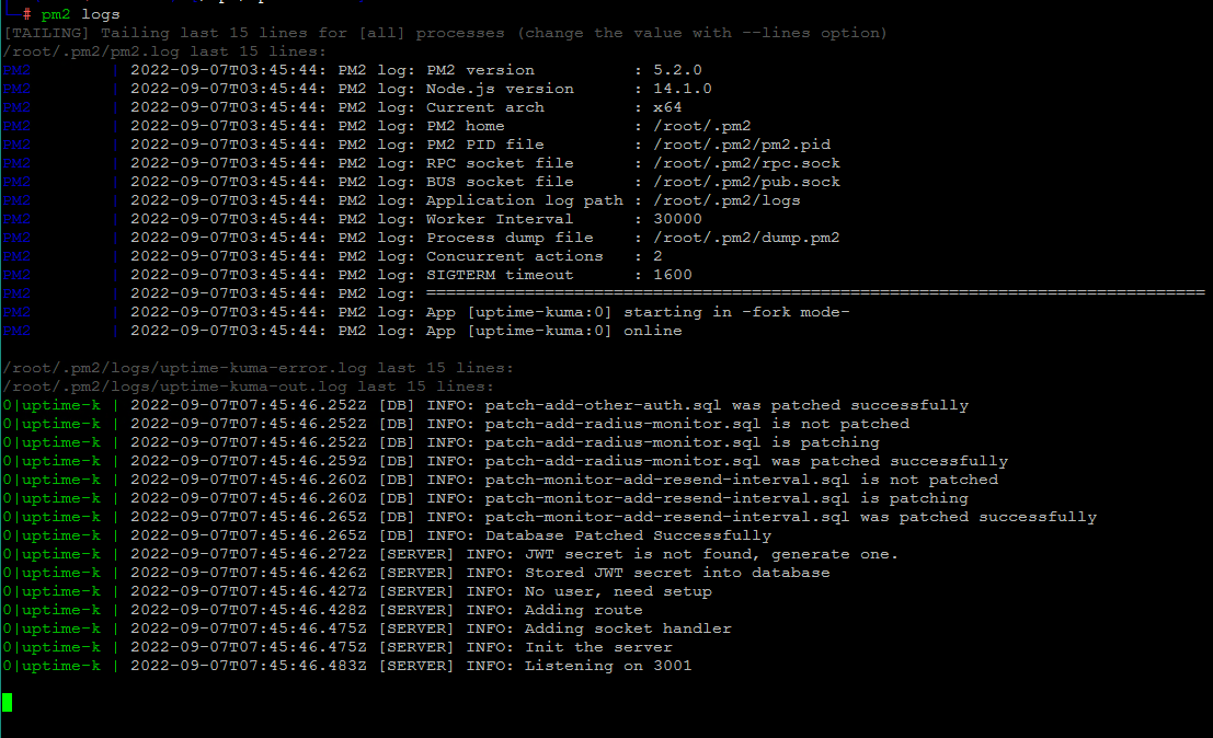 pm2logs information Security Squad