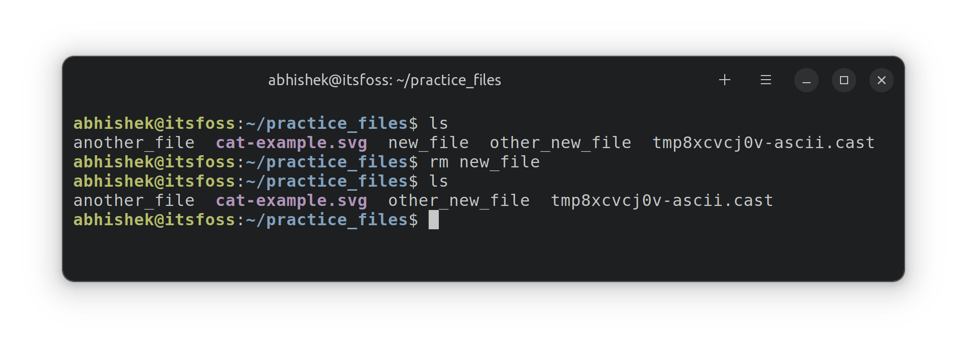 Delete Files and Folders in Linux Command Line