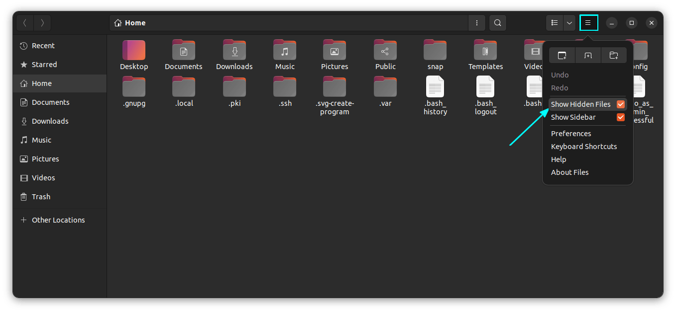 How to Show Hidden Files in Ubuntu & Other Linux