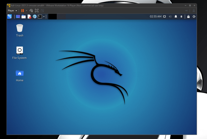 How to Install Kali Linux in VMware [Easily]