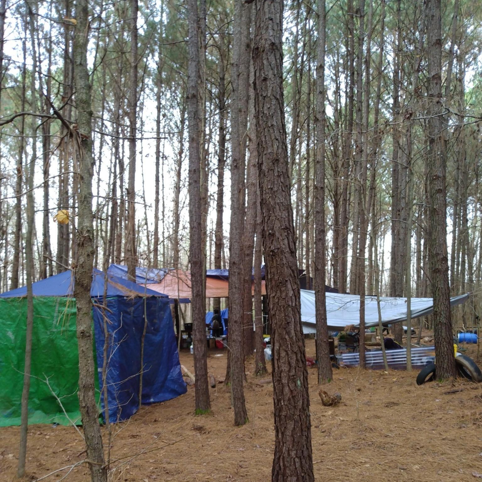 Resistance to Defend Atlanta Forest from ‘Cop City’ Continues Despite