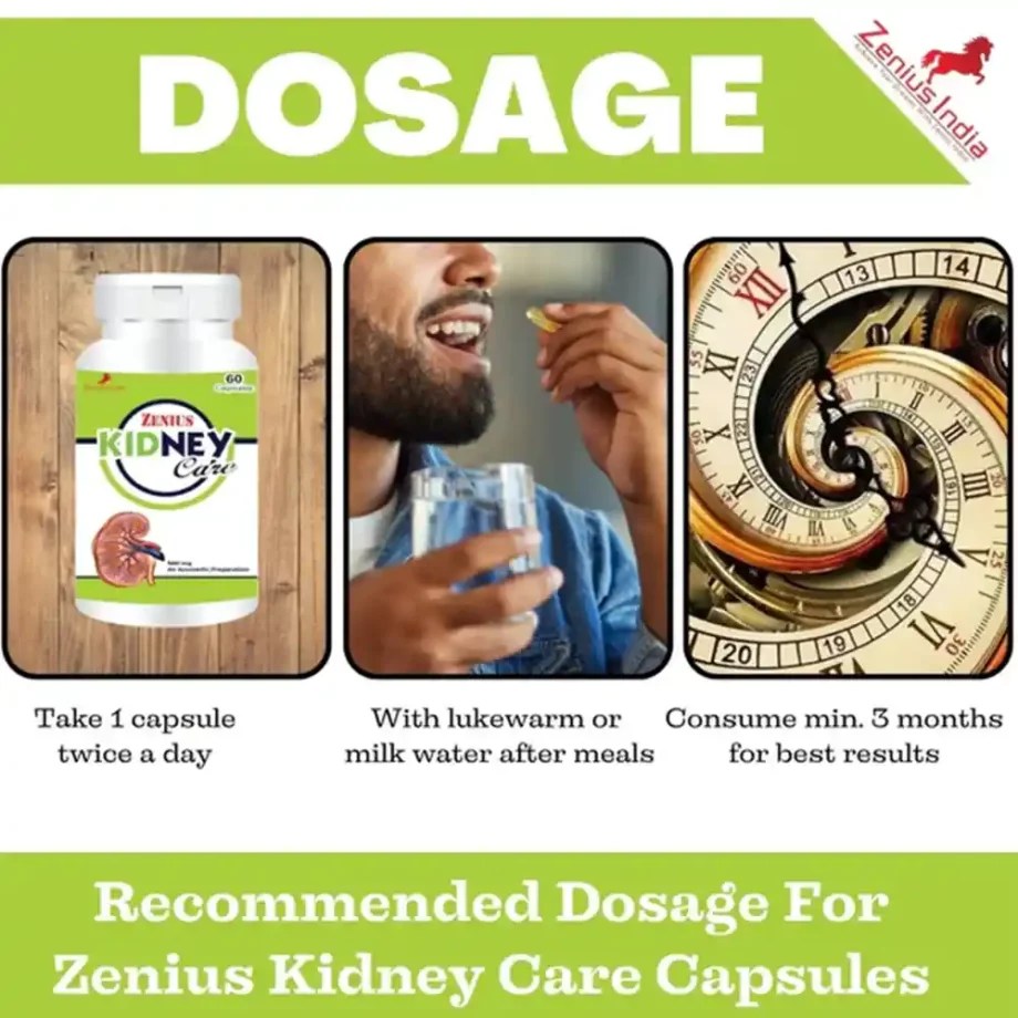 Zenius Kidney Care Capsule For Kidney Stone Pain Relief 100gm, 60