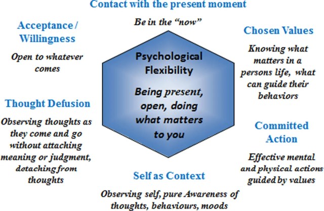 Acceptance and Commitment Therapy (ACT) shows that may