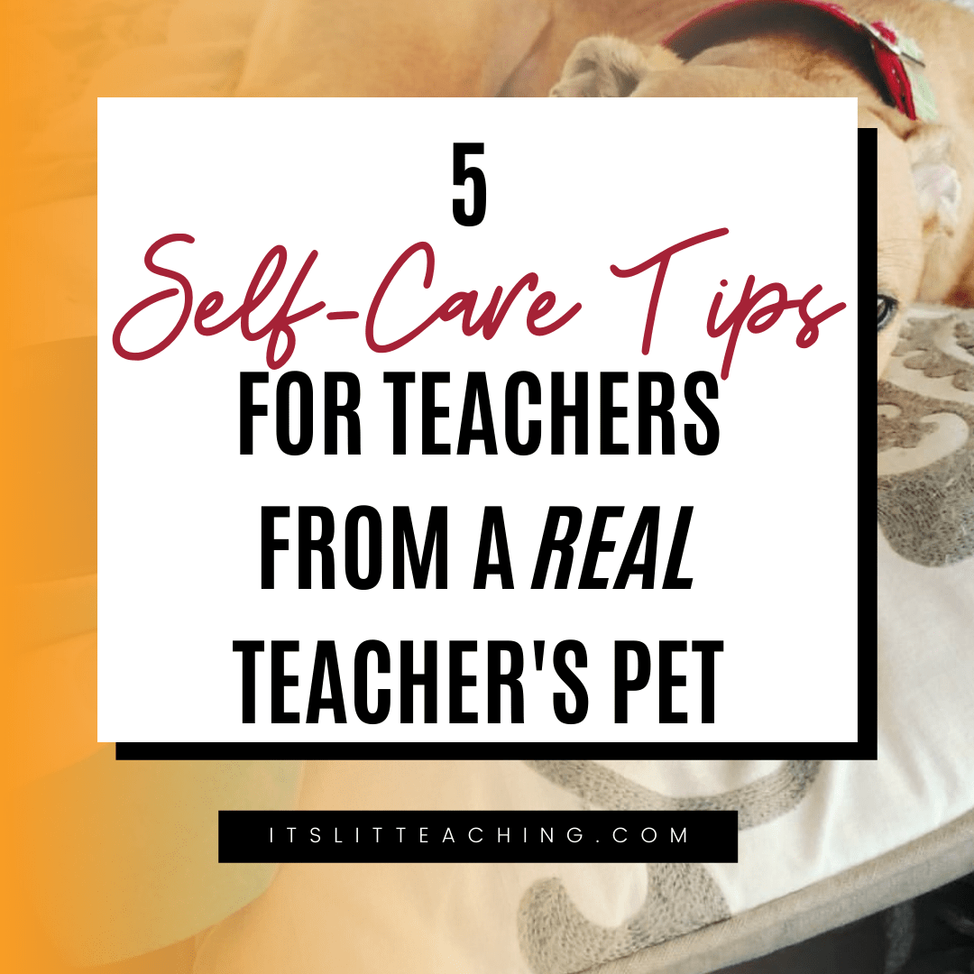 5 Selfcare Tips for Teachers from a Real Teacher's Pet It's Lit Teaching