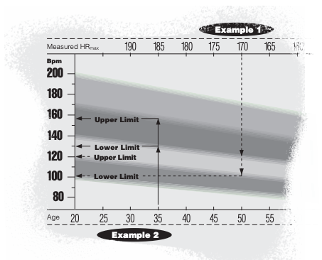 Polar T31 Fitwatch Heart Rate Monitor Manual - ItsManual