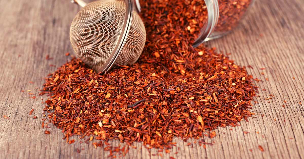 How to Prepare the Perfect Tea Times and Temperatures It's Never Not