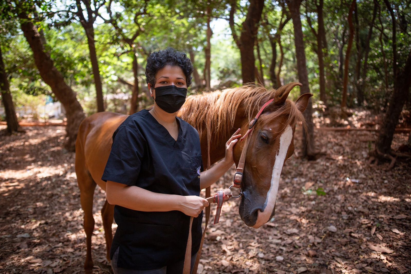 Veterinary Ophthalmologist Interview Offbeat, unusual, unconventional