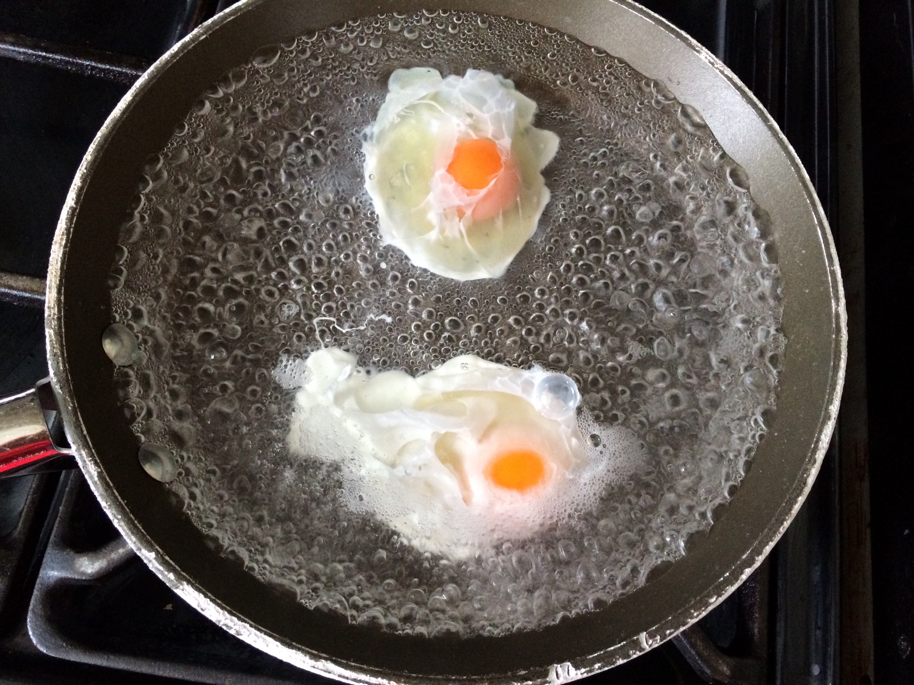 Poached eggs It's not easy being greedy