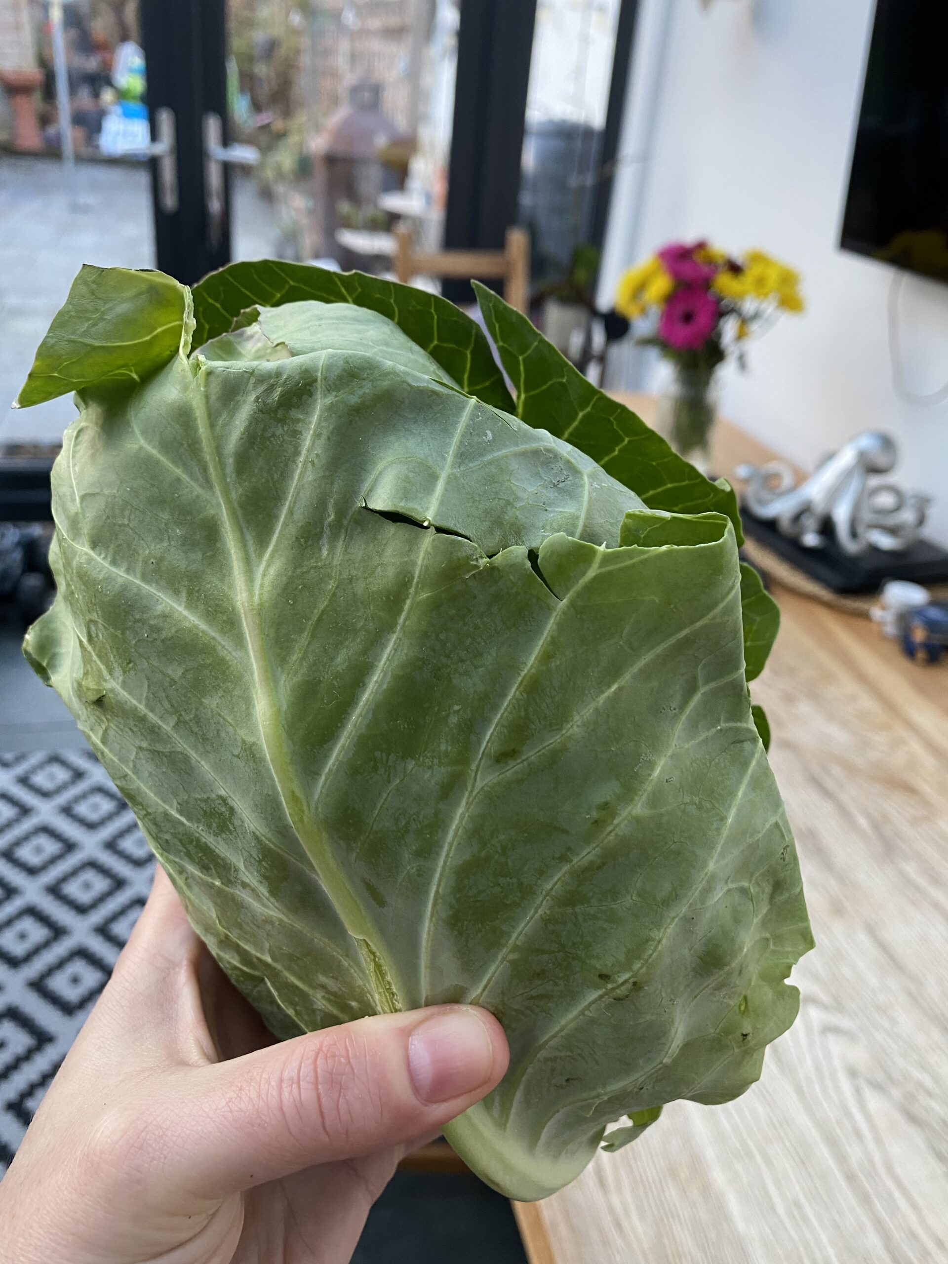 The best way to cook cabbage new recipe It's not easy being greedy