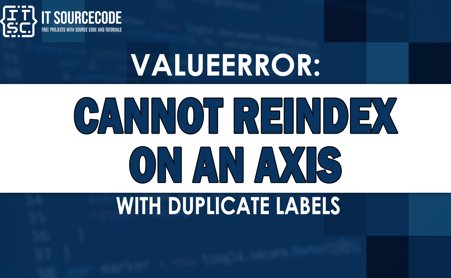Valueerror cannot reindex on an axis with duplicate labels [FIXED]