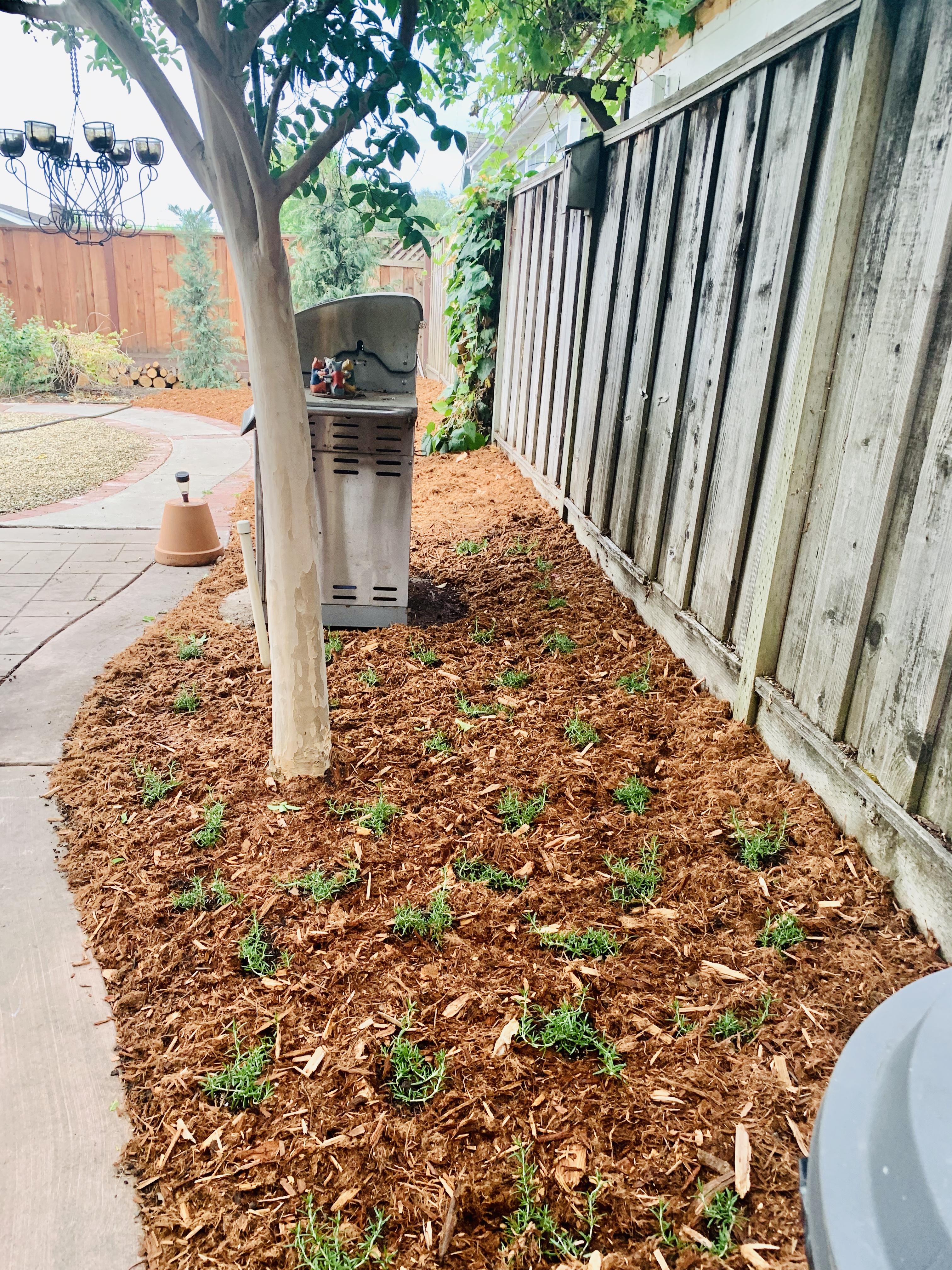 gorilla hair mulch lowes Mitch Veal