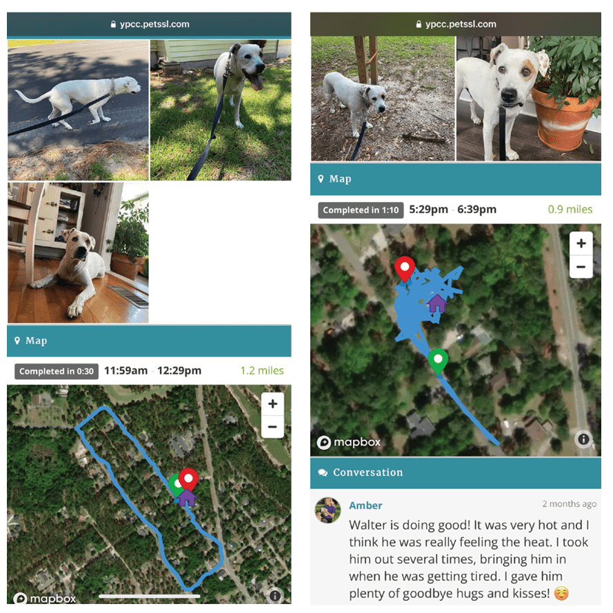 Meet the Ultimutt Pet Care Team The Sway