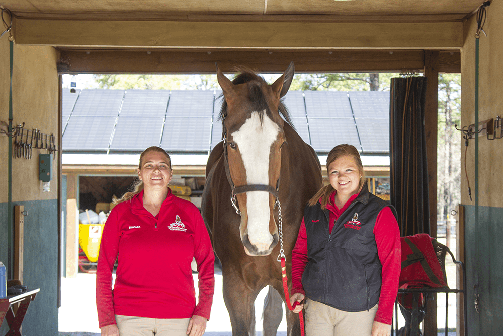 Clydesdales Stay In Southern Pines The Sway