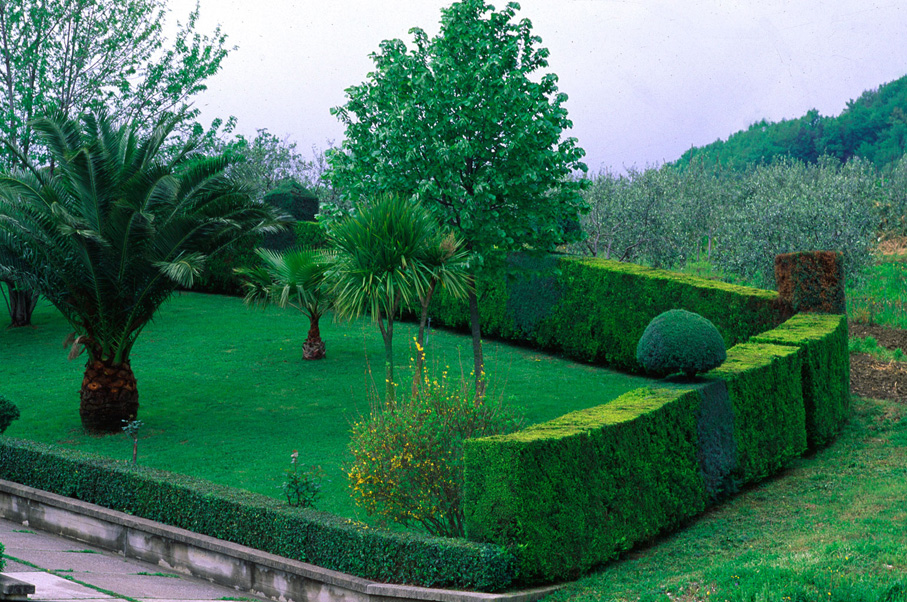Lavori di giardinaggio it's tree