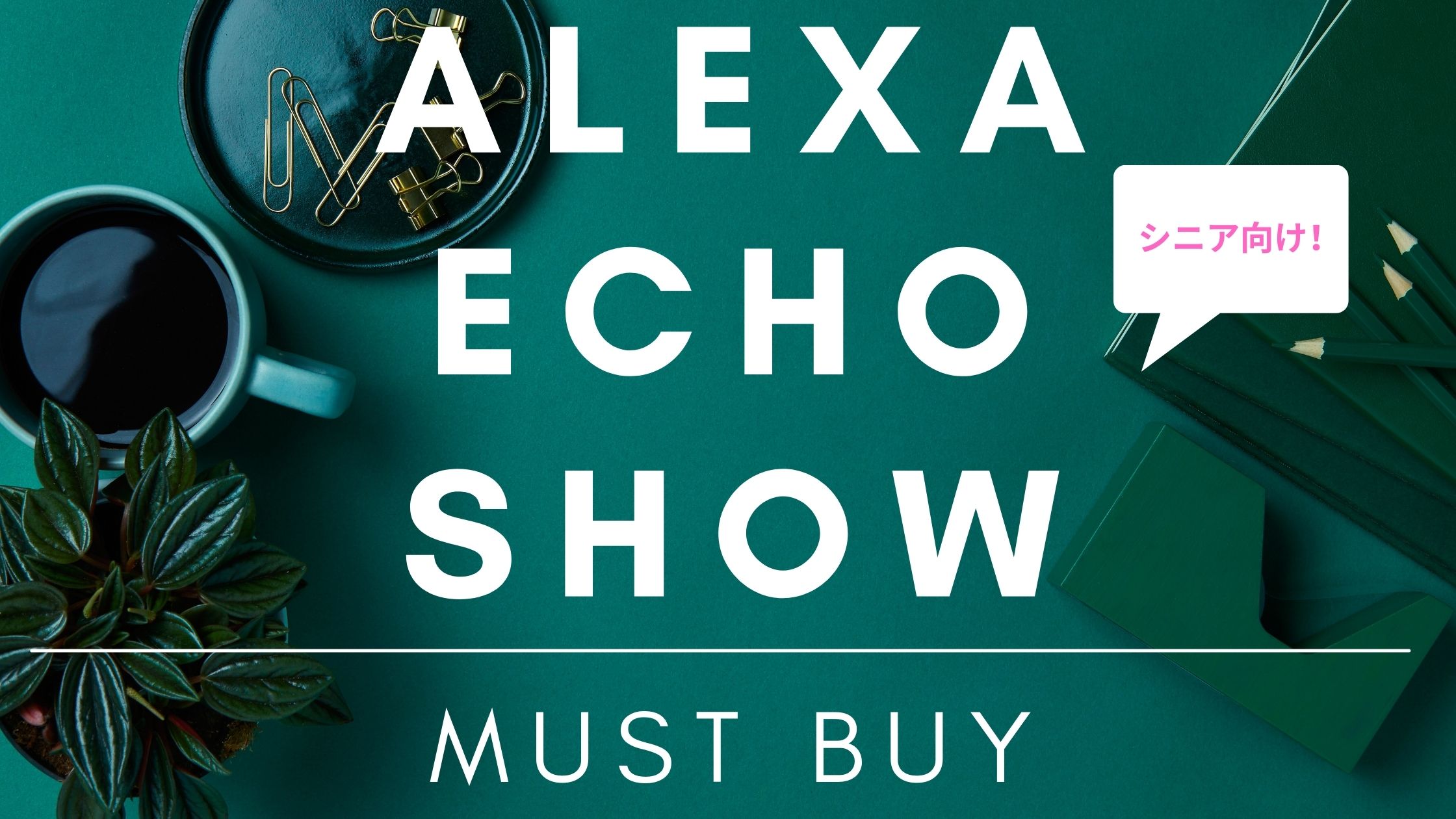 コロナ渦でシニアの方に！絶対買うべき！MUST BUY「アレクサエコーショー」Alexa EchoShow 日本人医師の海外生活日記