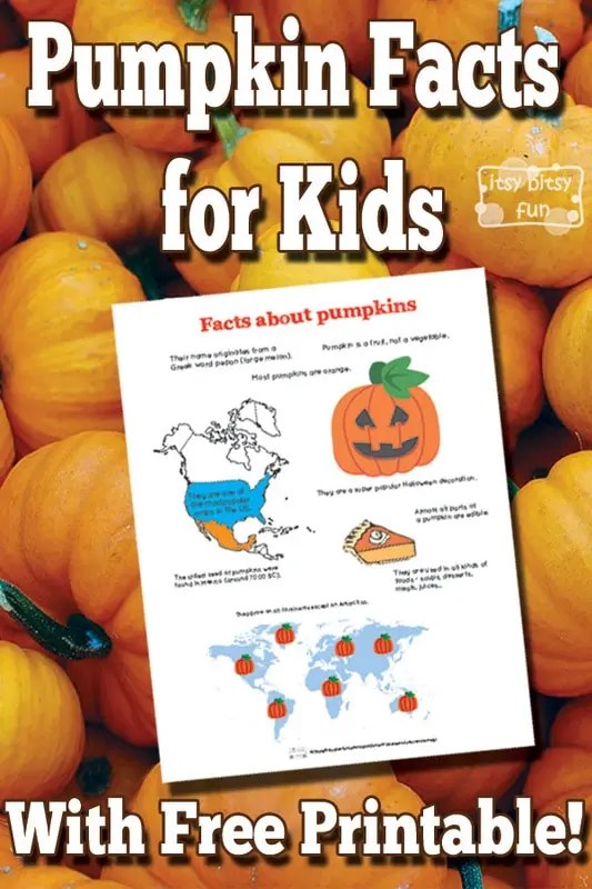 Pumpkin Facts for Kids Itsy Bitsy Fun