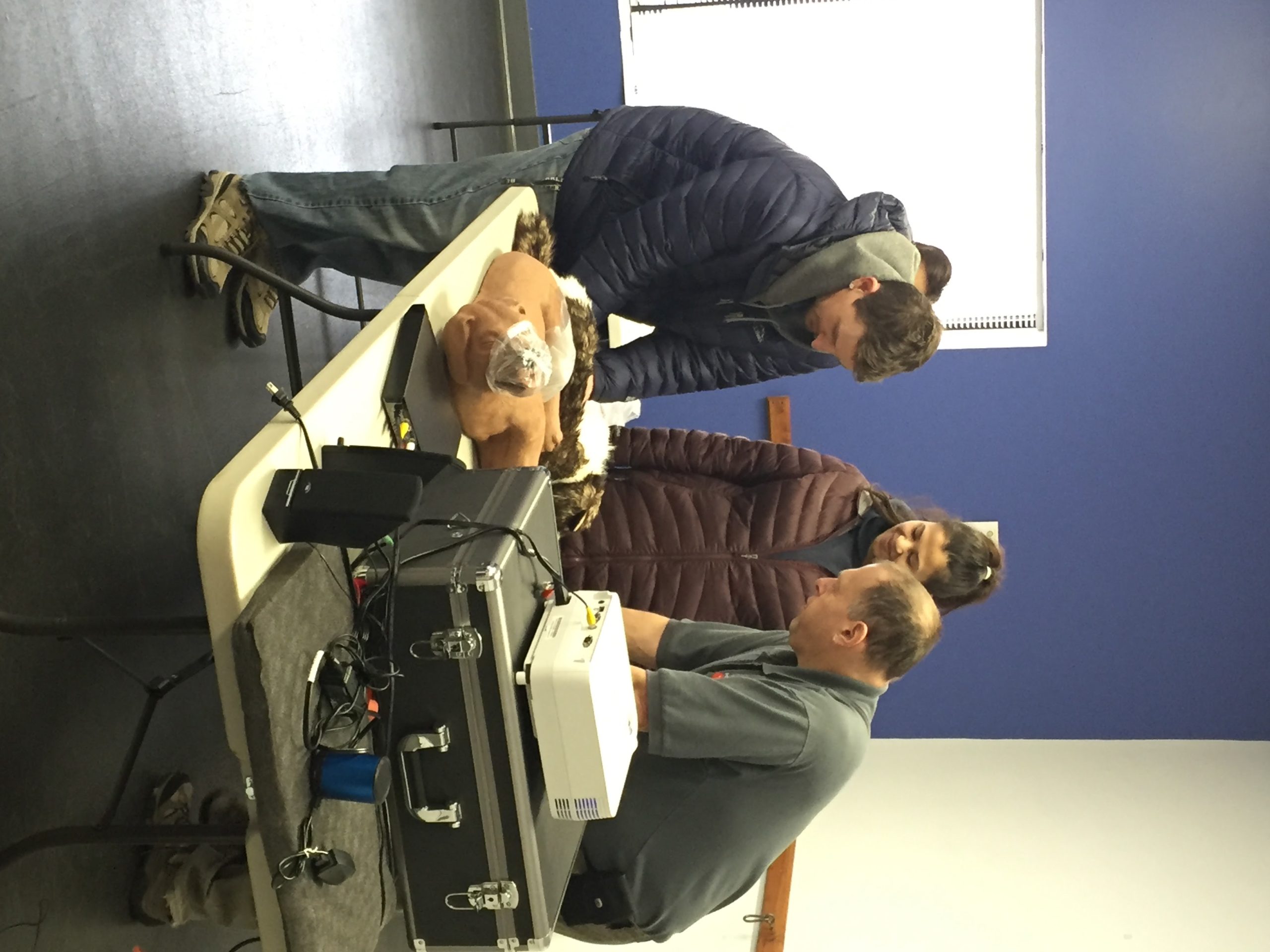 Pet CPR & First Aid (Dogs & Cats) It's Your Dog School for Dogs Dog Training