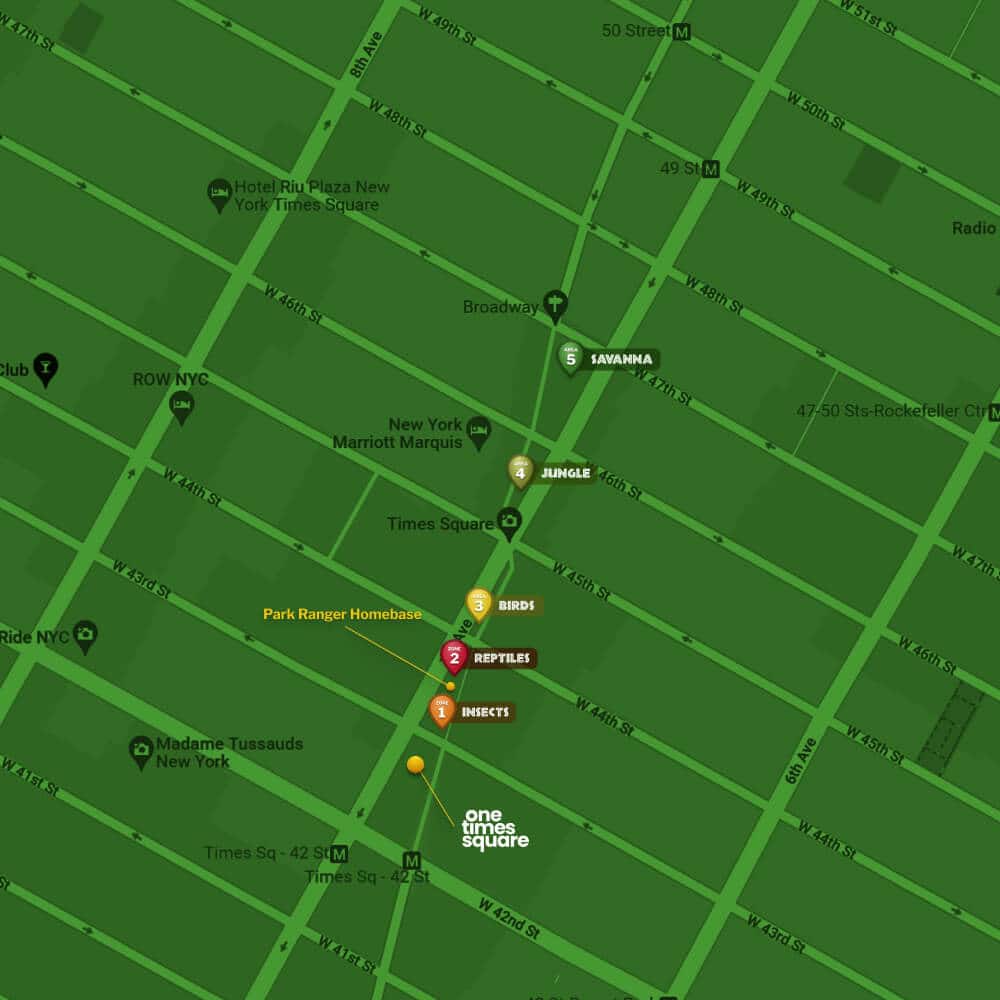 Concrete Jungle Offers Virtual Safari Check Out Times Square in NYC