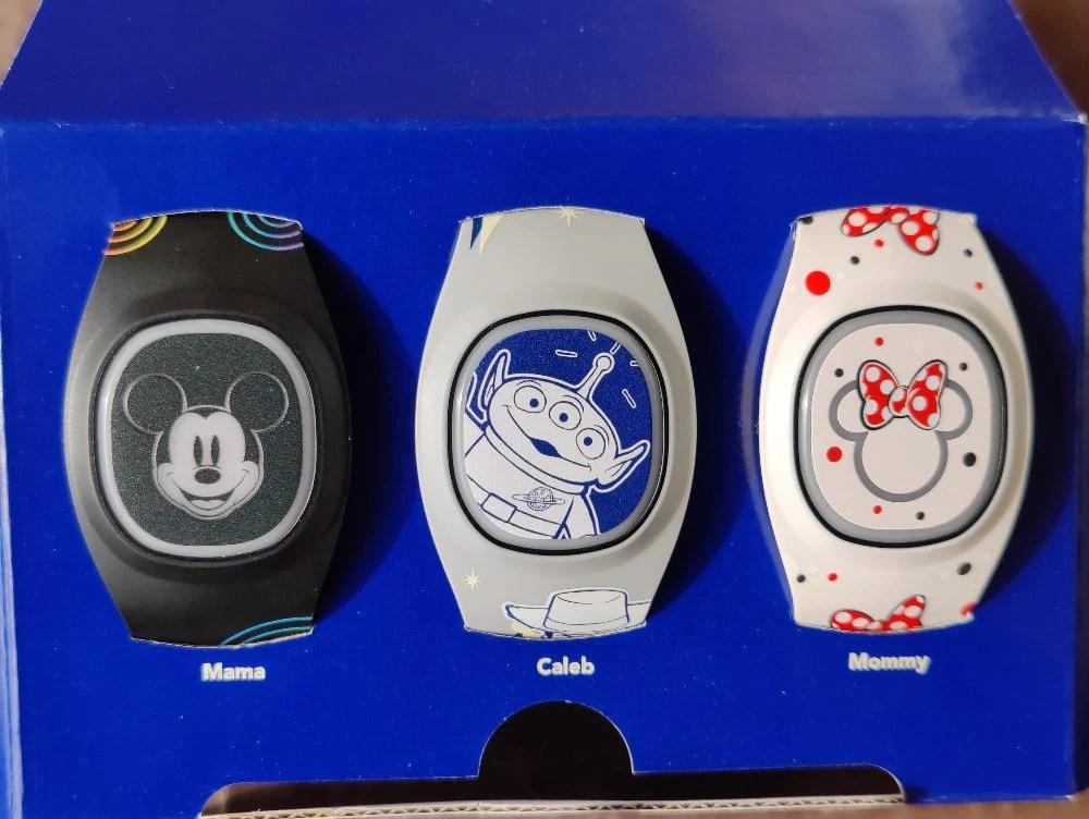 Are MagicBands Worth It for Disney World? It's a Family Thing