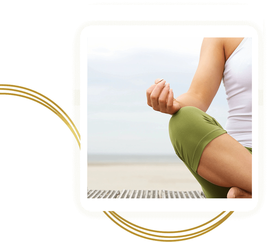 Grounding Therapy/PEMF Mat IV Wellness