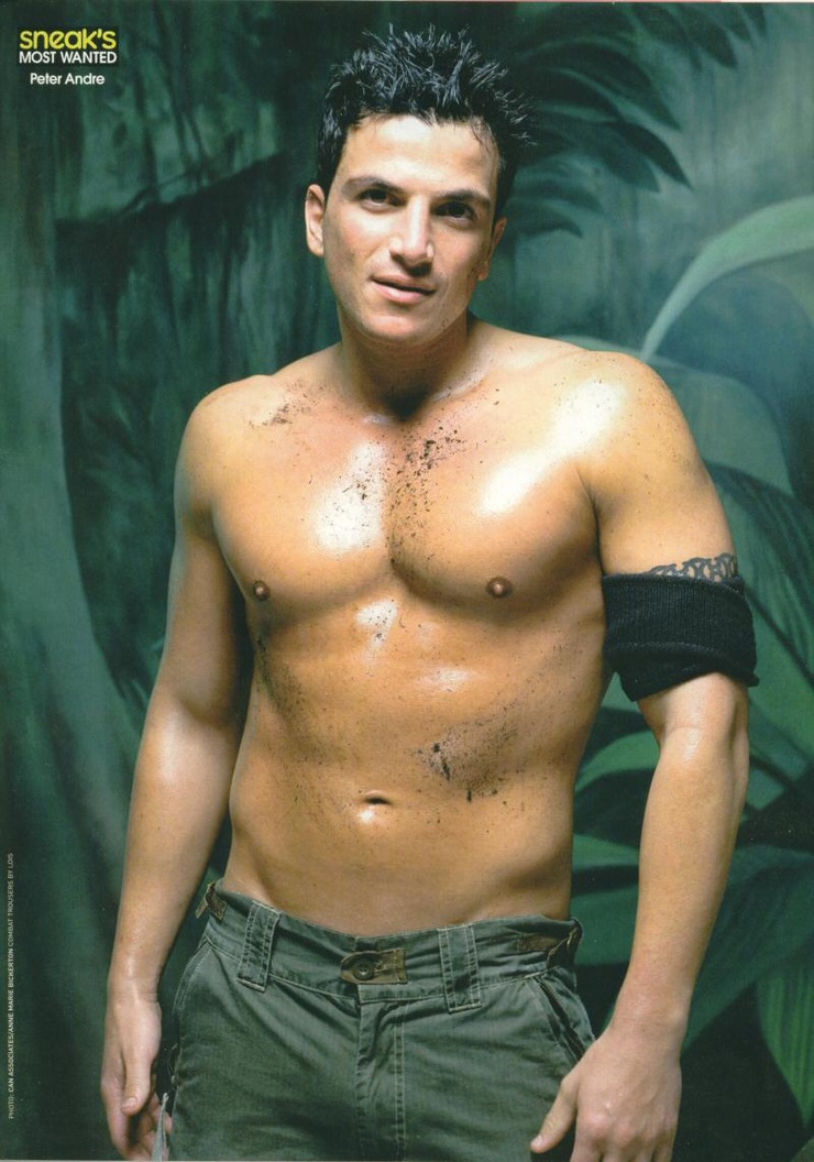 Peter Andre image