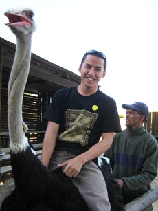 Great Adventure Of South Africa #4 | Celoteh Tukang Tulis 307_X_230_jpg