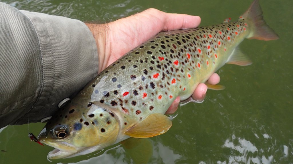 Fly Fishing in Serbia Ivan Randjelovic Fly Fishing Guide